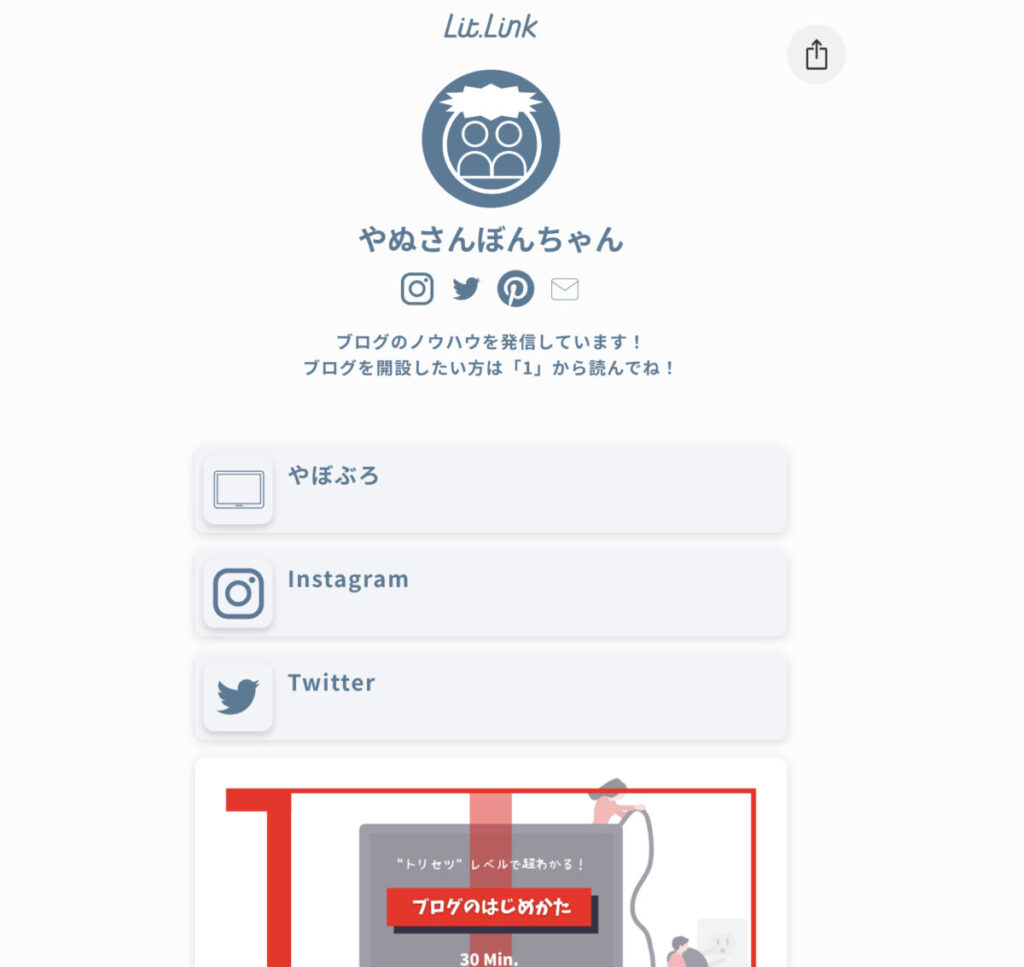 リットリンクの例