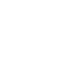 ブログを書く
